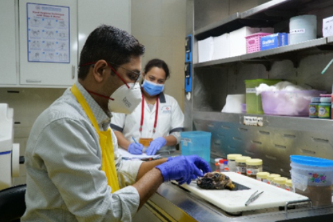 Lab Work 1