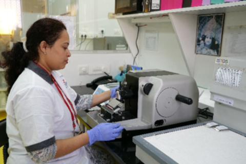 Lab Work 3