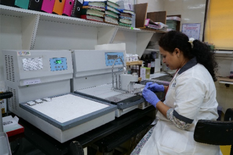 Lab Work 4